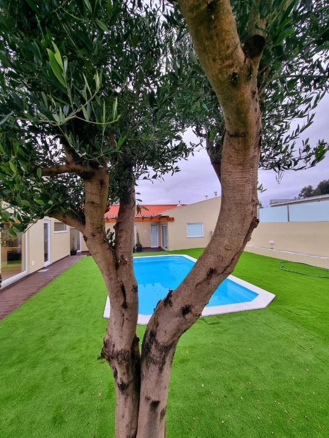 Villas Com Piscina 加亚新城 外观 照片